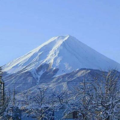 勇闯女巫塔破解版下载